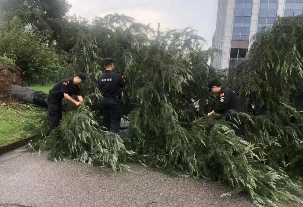 C:/Users/BA/Desktop/風(fēng)雨過后南京保安迅速行動，恢復(fù)安“寧”面貌/1.jpg1
