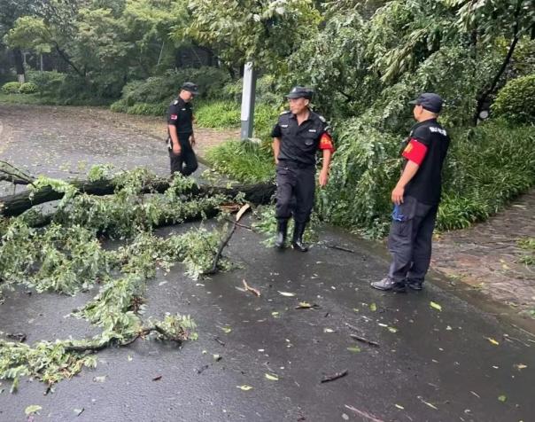 C:/Users/BA/Desktop/風(fēng)雨過后南京保安迅速行動，恢復(fù)安“寧”面貌/7.jpg7